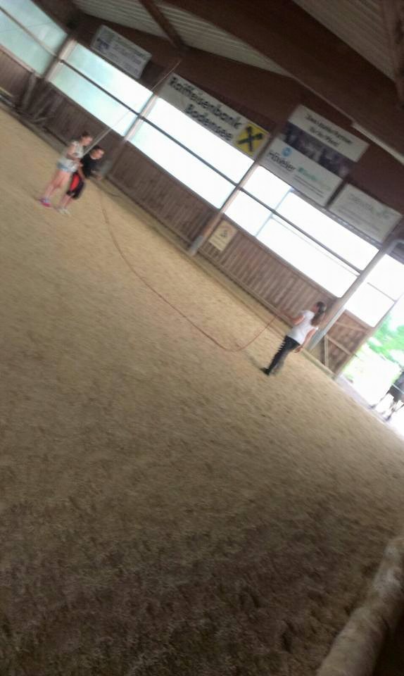 Longieren