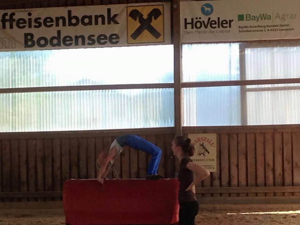Tonnenpferdküren