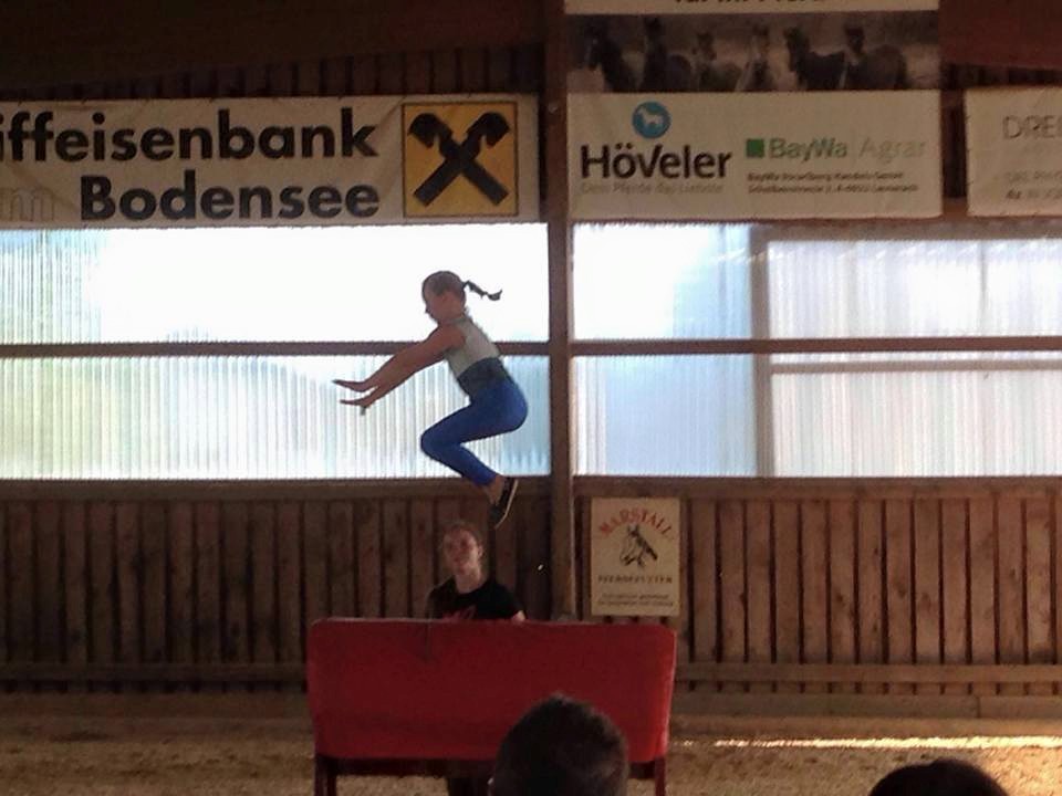 Tonnenpferdküren