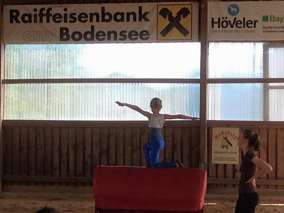 Tonnenpferdküren