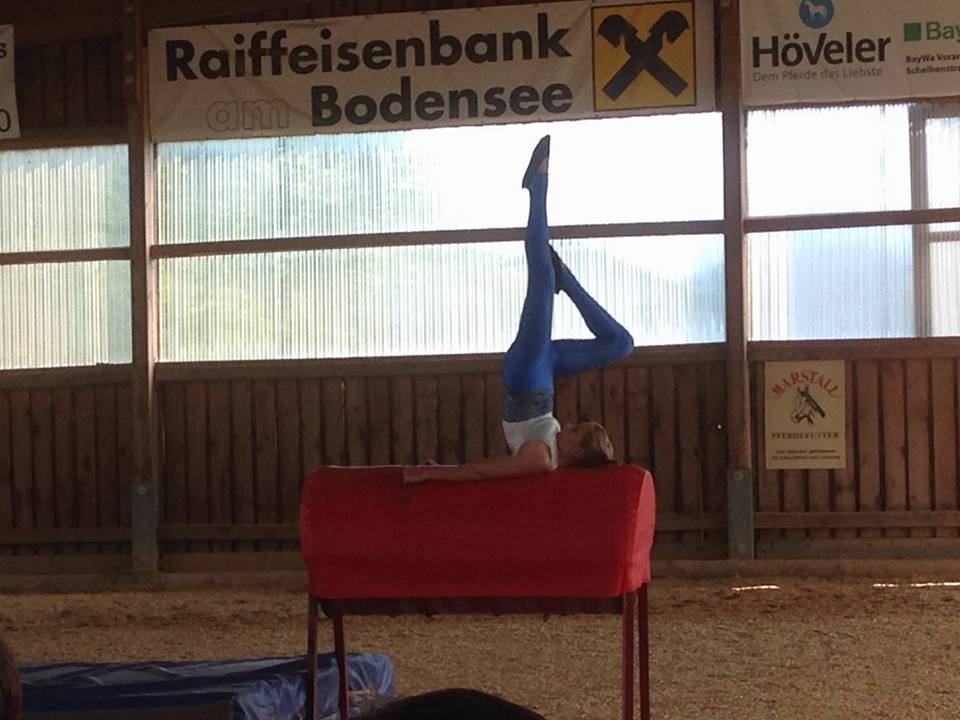 Tonnenpferdküren