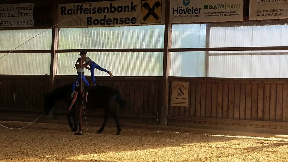 Vorführung mit Graubart