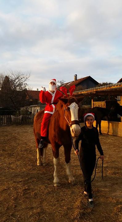 Weihnachtsmann mit Rentier