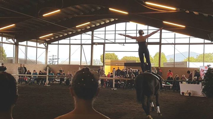 Einzelvoltis