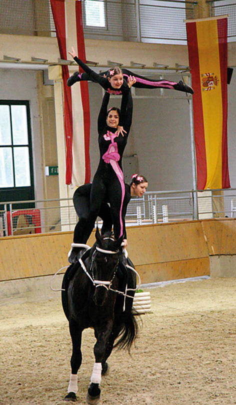 Pink-Panther-Kür 2006