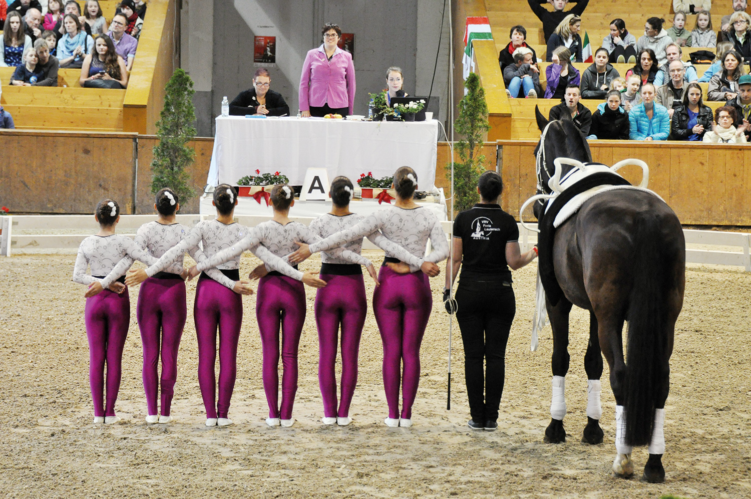 Juniorteam beim CVI Bern 2015